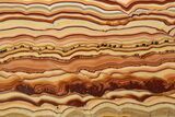 Polished Slab Of Rolling Hills Dolomite - Mexico #324337-1